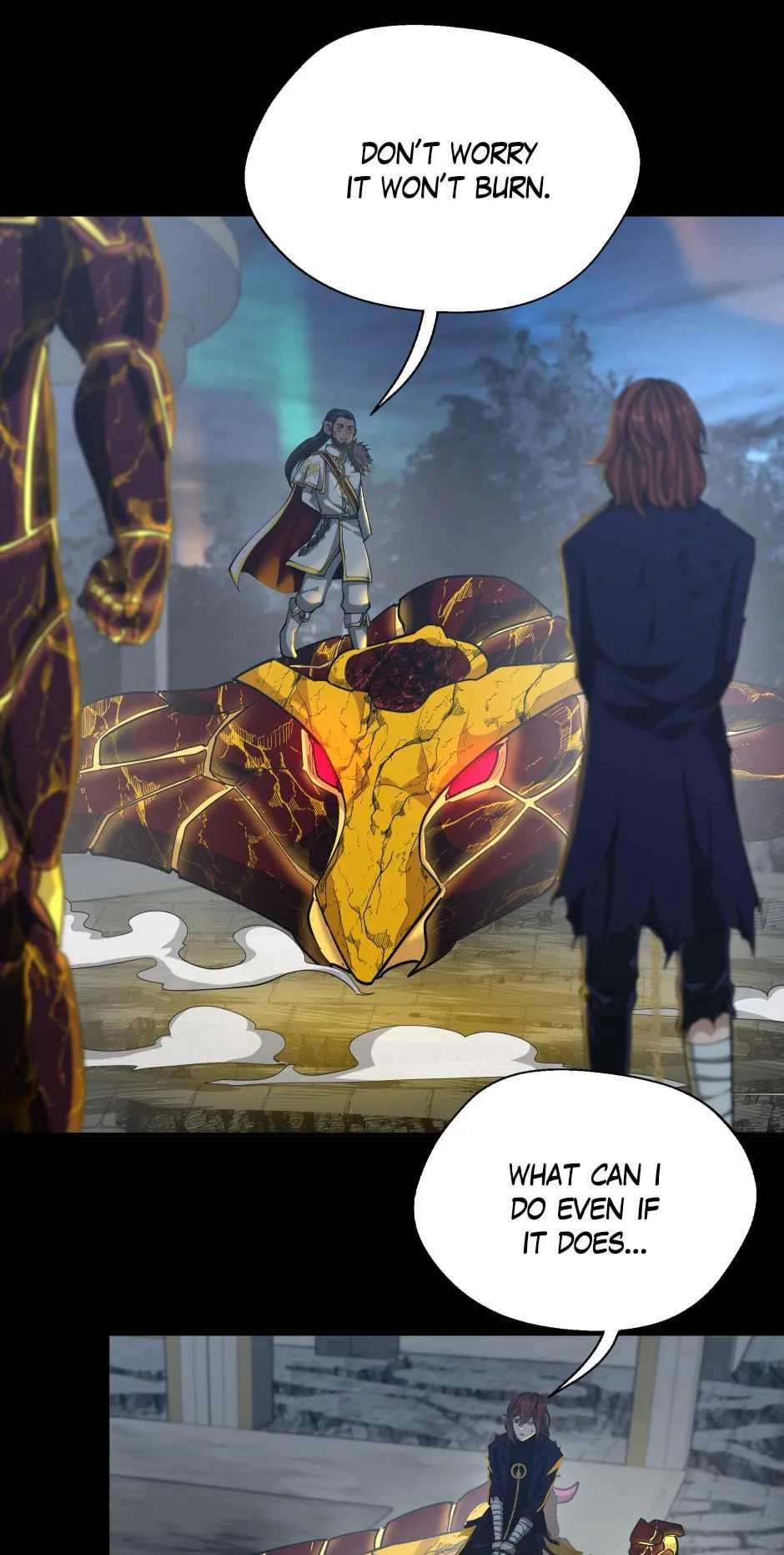 the beginning after the end