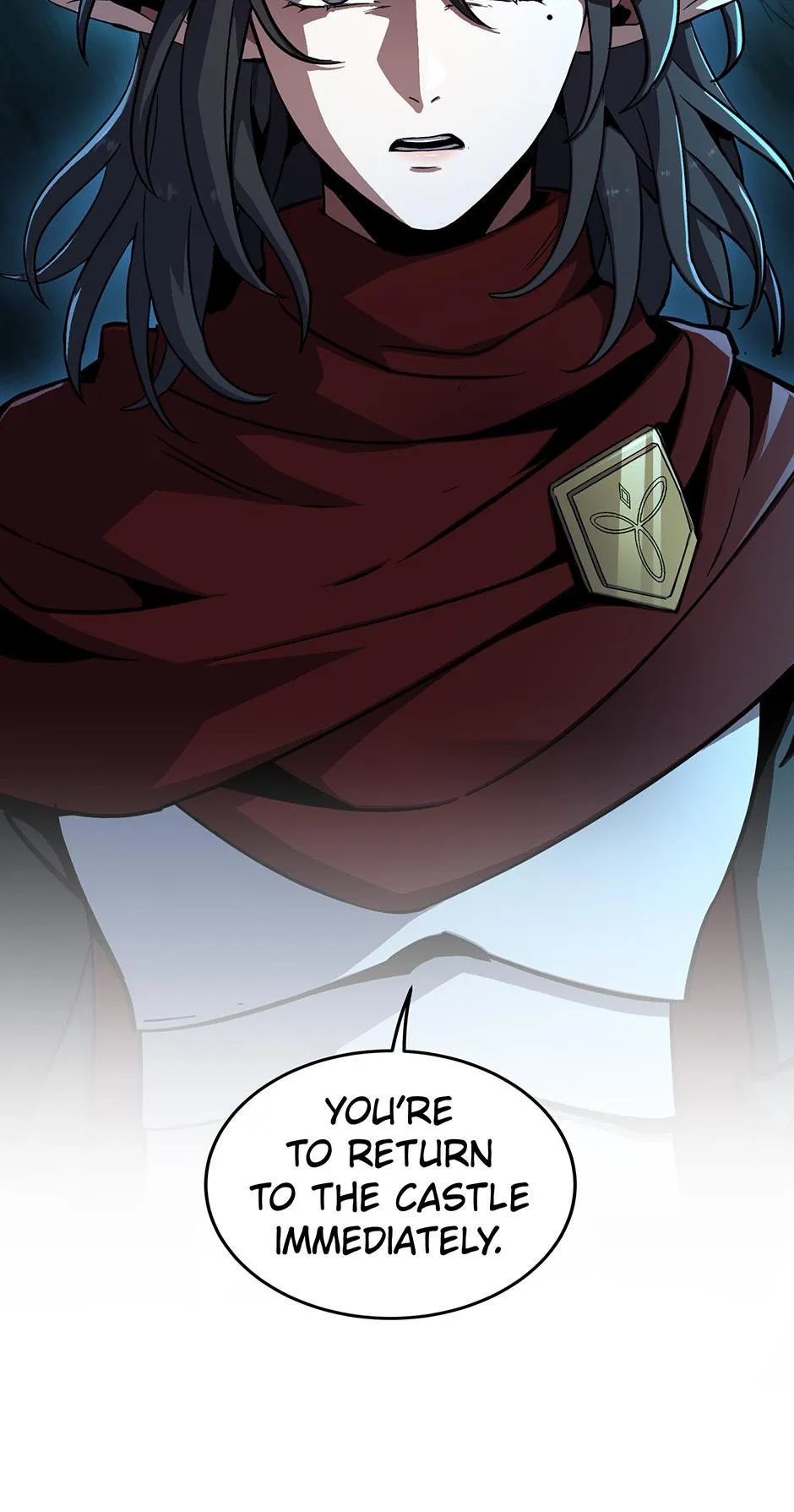 The Beginning After The End Chapter 252